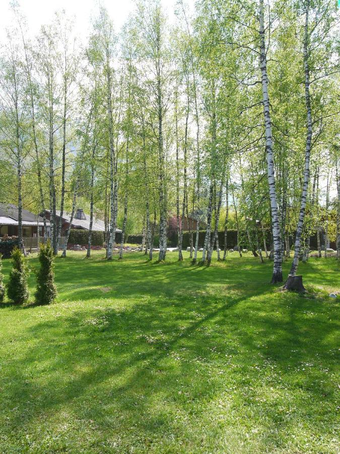 Chalet Champraz - Free Parking Chamonix Exterior photo